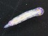  ( - SWRO157)  @11 [ ] by-sa  Unspecified Unspecified