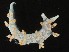  ( - SWRO164)  @11 [ ] by-sa  Unspecified Unspecified