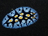  (Phyllidia picta - SWRO199)  @11 [ ] by-sa  Unspecified Unspecified