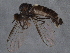  ( - BIOUG04741-B07)  @13 [ ] CreativeCommons - Attribution (2014) CBG Photography Group Centre for Biodiversity Genomics