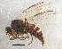  ( - BIOUG04743-A04)  @13 [ ] CreativeCommons - Attribution (2014) CBG Photography Group Centre for Biodiversity Genomics