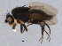  ( - BIOUG04803-G09)  @13 [ ] CreativeCommons - Attribution (2014) CBG Photography Group Centre for Biodiversity Genomics