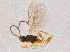  ( - BIOUG04804-C06)  @14 [ ] CreativeCommons - Attribution (2014) CBG Photography Group Centre for Biodiversity Genomics