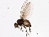  ( - BIOUG04864-D09)  @13 [ ] CreativeCommons - Attribution (2014) CBG Photography Group Centre for Biodiversity Genomics