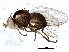  ( - BIOUG05008-E09)  @12 [ ] CreativeCommons - Attribution (2014) CBG Photography Group Centre for Biodiversity Genomics