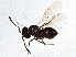  ( - BIOUG04925-C12)  @12 [ ] CreativeCommons - Attribution (2014) CBG Photography Group Centre for Biodiversity Genomics