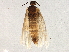  ( - BIOUG03117-F08)  @12 [ ] CreativeCommons - Attribution (2013) CBG Photography Group Centre for Biodiversity Genomics