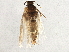  ( - BIOUG03117-G11)  @12 [ ] CreativeCommons - Attribution (2013) CBG Photography Group Centre for Biodiversity Genomics