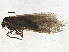  ( - BIOUG03117-H06)  @12 [ ] CreativeCommons - Attribution (2013) CBG Photography Group Centre for Biodiversity Genomics