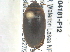  ( - BIOUG04181-F12)  @12 [ ] CreativeCommons - Attribution (2013) CBG Photography Group Centre for Biodiversity Genomics