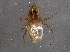  ( - BIOUG04990-H03)  @13 [ ] CreativeCommons - Attribution (2014) CBG Photography Group Centre for Biodiversity Genomics