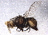  ( - BIOUG05248-D04)  @12 [ ] CreativeCommons - Attribution (2014) CBG Photography Group Centre for Biodiversity Genomics