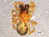  ( - BIOUG05352-D07)  @13 [ ] CreativeCommons - Attribution (2014) CBG Photography Group Centre for Biodiversity Genomics