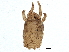  ( - BIOUG05426-A02)  @13 [ ] CreativeCommons - Attribution (2014) CBG Photography Group Centre for Biodiversity Genomics