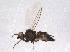  ( - BIOUG05468-C08)  @13 [ ] CreativeCommons - Attribution (2014) CBG Photography Group Centre for Biodiversity Genomics