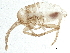  ( - BIOUG05473-E09)  @12 [ ] CreativeCommons - Attribution (2014) CBG Photography Group Centre for Biodiversity Genomics