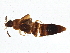  ( - BIOUG05904-A11)  @13 [ ] CreativeCommons - Attribution (2014) CBG Photography Group Centre for Biodiversity Genomics