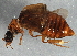  ( - BIOUG05926-E02)  @12 [ ] CreativeCommons - Attribution (2014) CBG Photography Group Centre for Biodiversity Genomics