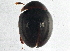 ( - BIOUG06376-G07)  @13 [ ] CreativeCommons - Attribution (2014) CBG Photography Group Centre for Biodiversity Genomics