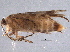  ( - BIOUG06547-H04)  @12 [ ] CreativeCommons - Attribution (2014) CBG Photography Group Centre for Biodiversity Genomics