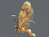  ( - BIOUG06978-G03)  @12 [ ] CreativeCommons - Attribution (2014) CBG Photography Group Centre for Biodiversity Genomics