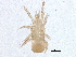  ( - BIOUG09080-D03)  @13 [ ] CreativeCommons - Attribution (2014) CBG Photography Group Centre for Biodiversity Genomics