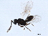  ( - BIOUG09263-G11)  @12 [ ] CreativeCommons - Attribution (2019) CBG Photography Group Centre for Biodiversity Genomics