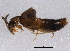  ( - BIOUG09566-B10)  @13 [ ] CreativeCommons - Attribution (2014) CBG Photography Group Centre for Biodiversity Genomics