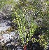  ( - CCDB-44151-C03)  @11 [ ] by-nc (2023) Justin Holder Flinders University