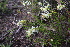  ( - CCDB-44151-F04)  @11 [ ] by-nc (2023) Justin Holder Flinders University