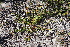  ( - CCDB-44151-E05)  @11 [ ] by-nc (2023) Justin Holder Flinders University