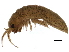  ( - BIOUG12646-E07)  @11 [ ] CreativeCommons - Attribution (2014) CBG Photography Group Centre for Biodiversity Genomics