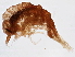  ( - BIOUG12646-E12)  @11 [ ] CreativeCommons - Attribution (2014) CBG Photography Group Centre for Biodiversity Genomics
