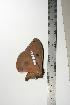  ( - BC-TB1079)  @12 [ ] Copyright (2010) Unspecified Research Collection of Thierry Bouyer