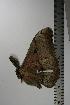  ( - BC-TB1097)  @12 [ ] Copyright (2010) Unspecified Research Collection of Thierry Bouyer