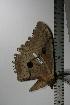  ( - BC-TB1098)  @12 [ ] Copyright (2010) Unspecified Research Collection of Thierry Bouyer