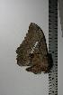  ( - BC-TB1099)  @12 [ ] Copyright (2010) Unspecified Research Collection of Thierry Bouyer