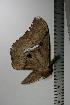  ( - BC-TB1100)  @12 [ ] Copyright (2010) Unspecified Research Collection of Thierry Bouyer