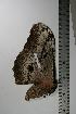  ( - BC-TB1102)  @12 [ ] Copyright (2010) Unspecified Research Collection of Thierry Bouyer