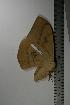  ( - BC-TB1104)  @12 [ ] Copyright (2010) Unspecified Research Collection of Thierry Bouyer