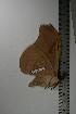  ( - BC-TB1105)  @12 [ ] Copyright (2010) Unspecified Research Collection of Thierry Bouyer