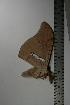 ( - BC-TB1106)  @12 [ ] Copyright (2010) Unspecified Research Collection of Thierry Bouyer
