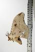  ( - BC-TB1120)  @13 [ ] Copyright (2010) Unspecified Research Collection of Thierry Bouyer