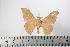  ( - BC-TB1137)  @13 [ ] Copyright (2010) Unspecified Research Collection of Thierry Bouyer
