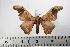  ( - BC-TB1139)  @13 [ ] Copyright (2010) Unspecified Research Collection of Thierry Bouyer