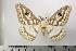  ( - BC-TB1174)  @14 [ ] Copyright (2010) Unspecified Research Collection of Thierry Bouyer
