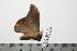  ( - BC-TB0337)  @12 [ ] Copyright (2010) Unspecified Research Collection of Thierry Bouyer