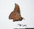  ( - BC-TB0385)  @12 [ ] Copyright (2010) Unspecified Research Collection of Thierry Bouyer