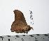  ( - BC-TB0386)  @12 [ ] Copyright (2010) Unspecified Research Collection of Thierry Bouyer