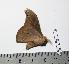  ( - BC-TB0399)  @12 [ ] Copyright (2010) Unspecified Research Collection of Thierry Bouyer